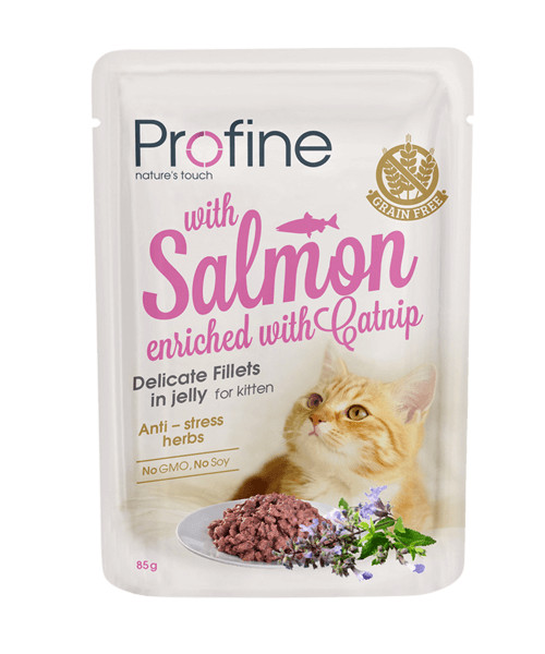 Dakraam Achteruit Postcode Profine kattenvoer Fillets in Jelly Kitten Salmon 85 gr | Hofstede Dier &  Tuin