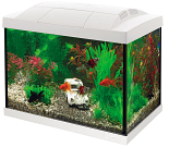 SuperFish aquarium Start 20 Goldfish kit wit