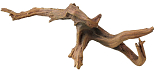 Aqua D'ella Driftwood 6 medium brown
