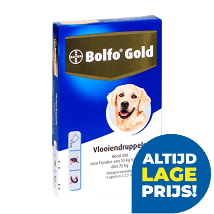Bolfo Gold 250 hond <br>4 pipetten