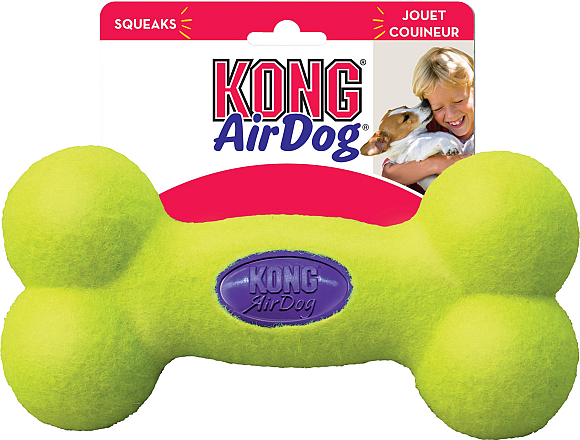 Kong AirDog Squeaker bot